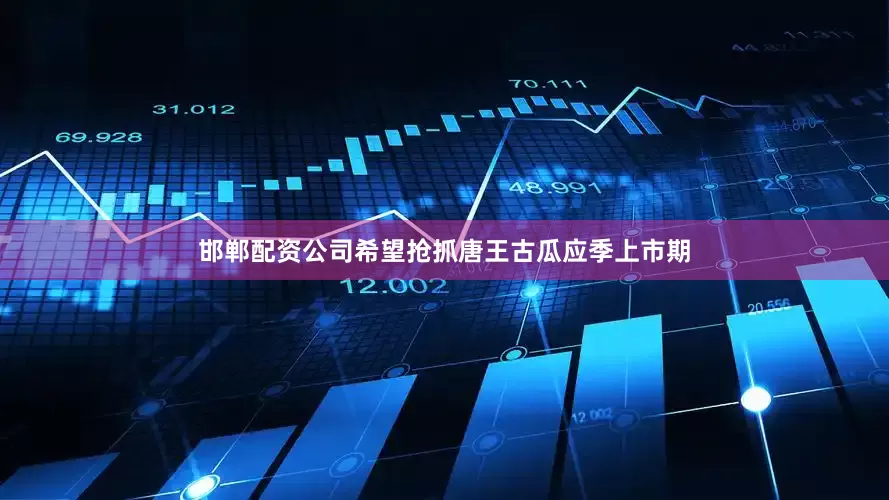 邯郸配资公司希望抢抓唐王古瓜应季上市期